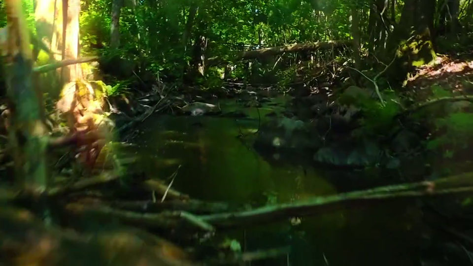 Puro ja koski – runollinen drone‑video